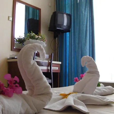 酒店 Kemer Hotel 凯梅尔